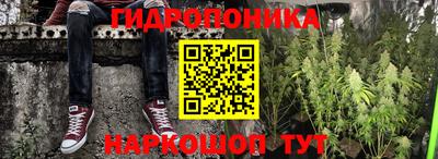 шишки Партизанск