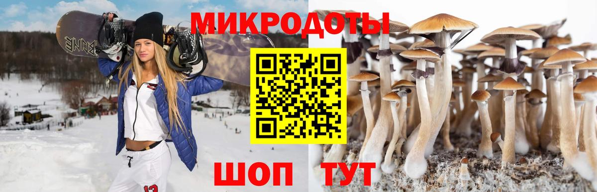 Сегежа  Псилоцибиновые грибы мицелий  Вход с VPN 
